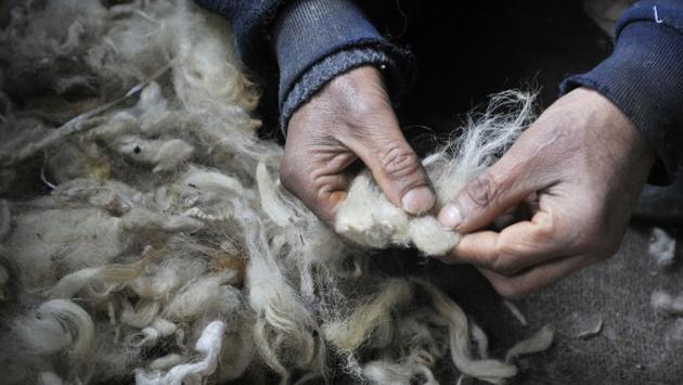 The carpets are made by felting sheep wool rather than weaving it. The felted carpets are predominately made of pure sheep wool. (Waseem Andrabi /HT PHOTO )
