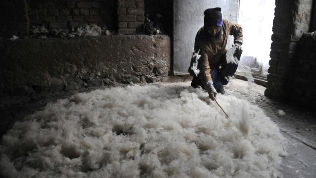 The woollen flakes are evenly spread all over it and with a long curved stick in one hand and the carded wool in another. (Waseem Andrabi /HT PHOTO )