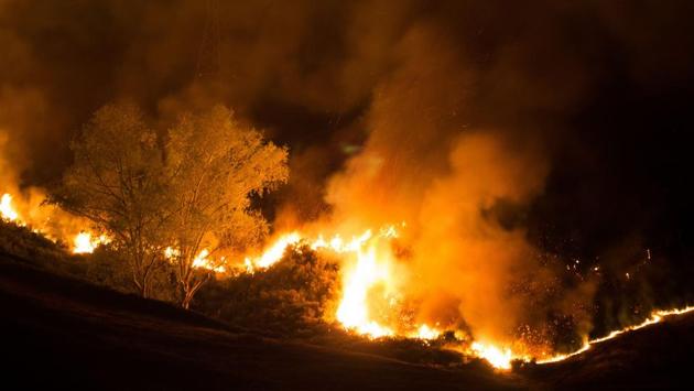 Flames from the wildfire leap to the sky. Wildfires of such ferocity are rare in New Zealand, where regular rainfall usually prevents them reaching the intensity seen in places like Australia and the US west coast. (Oliver WATSON / AFP)