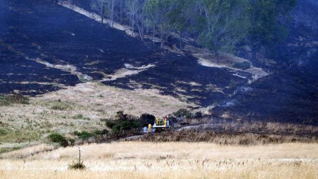 Firefighters examining an area burnt by a wildfire on Worsleys Road in Christchurch. The emergency has so far claimed one life, when a helicopter that was dumping water on the flames crashed on Tuesday and killed pilot Steve Askin, a decorated special forces veteran. (Oliver WATSON / AFP)