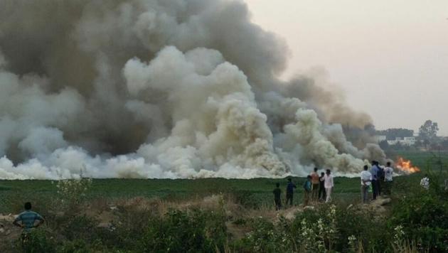 Bellandur, the largest lake in Bengaluru, caught fire yet again on Thursday.(Kashif Masood/HT)