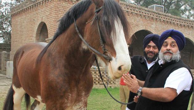 Punjab deputy CM Punjab Sukhbir Singh Badal and his wife and Union minister Harsimrat Badal are in the US with their children. (PTI File Photo) Punjab deputy CM Punjab Sukhbir Singh Badal and his wife and Union minister Harsimrat Badal are in the US with their children. (PTI File Photo)