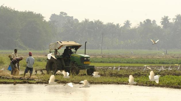 In August 2016, the Supreme Court ordered that the land of Tata Nano car plant be returned to the farmers and compensation given. Now farmers are starting farming in their land after 10 years in Singur.(Samir Jana/HT Photo)