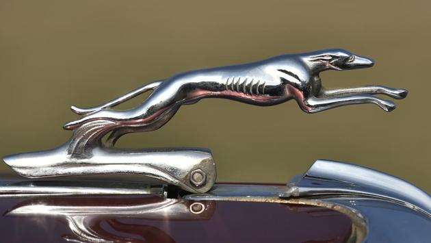 Ford vintage car on display. (Ravi Choudhary/HT PHOTO)