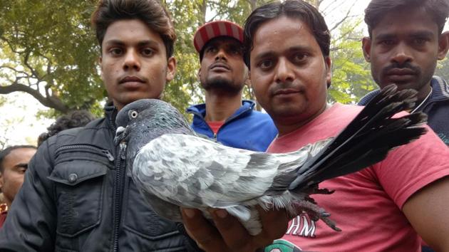The traditional weekly ‘kabootar mandi’ near Company Bagh in Lucknow remained crowded with pigeon handlers on Sunday.(Deepak Gupta/ HT Photo)
