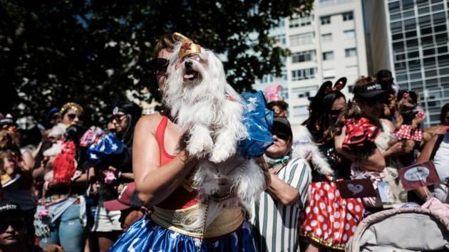 It may have been one of the more bizarre street parties in the build-up to Brazil’s biggest celebration of the year, but Rio de Janeiro’s dog-owners (and one or two brave cat-owners) put on an extraordinary show on the city’s streets. (Yasuyoshi CHIBA / AFP)