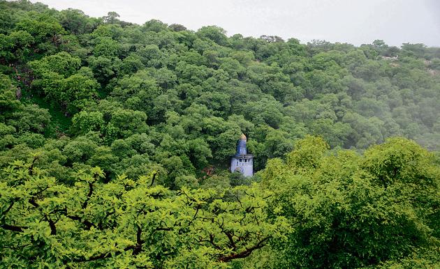 The activists alleged that the area where the construction material was dumped comes within the ambit of section 4 and 5 of the Punjab Land Preservation (PLPA) Act of the Union ministry of environment and forests and chopping of trees without permission is prohibited.(Parveen Kumar/HT FILE) The activists alleged that the area where the construction material was dumped comes within the ambit of section 4 and 5 of the Punjab Land Preservation (PLPA) Act of the Union ministry of environment and forests and chopping of trees without permission is prohibited.(Parveen Kumar/HT FILE)