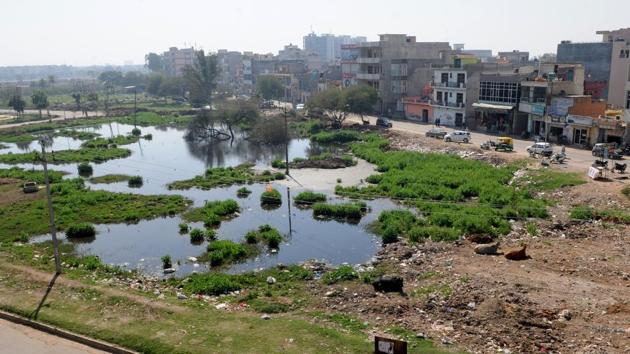 Water from open drains is dumped into the ponds around the village, emanating an unbearable stench. (Anil dayal/HT Photo) Water from open drains is dumped into the ponds around the village, emanating an unbearable stench. (Anil dayal/HT Photo)