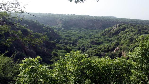 Haryana has the second lowest forest cover after Punjab.(MANOJ KUMAR/HT FILE) Haryana has the second lowest forest cover after Punjab.(MANOJ KUMAR/HT FILE)