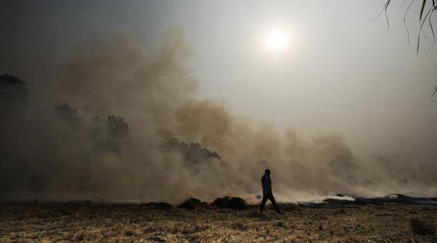 An NGT bench had on December 10, 2015, directed Delhi, Uttar Pradesh, Punjab, Haryana and Rajasthan to stop burning of paddy straw and other agriculture residue. (Ravi Choudhary/HT Representative Photo) An NGT bench had on December 10, 2015, directed Delhi, Uttar Pradesh, Punjab, Haryana and Rajasthan to stop burning of paddy straw and other agriculture residue. (Ravi Choudhary/HT Representative Photo)