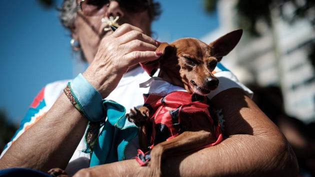 Dogs weren’t the only ones in fancy costumes, as some of their owners were clad in fancy dress during the annual pet parade. (Yasuyoshi CHIBA / AFP)