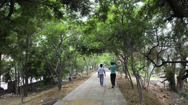 The bundh was notified on October 6, 1972, and is currently under the jurisdiction of the Municipal Corporation of Gurugram. (HT Photo) The bundh was notified on October 6, 1972, and is currently under the jurisdiction of the Municipal Corporation of Gurugram. (HT Photo)