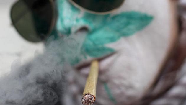 File photo of a protestor from Belgium with a marijuana leaf painted on his face smoking a marijuana joint in Amsterdam during a 2012 protest against a government plan to stop foreigners from buying marijuana in the Netherlands. (AP) File photo of a protestor from Belgium with a marijuana leaf painted on his face smoking a marijuana joint in Amsterdam during a 2012 protest against a government plan to stop foreigners from buying marijuana in the Netherlands. (AP)