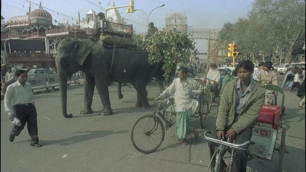 Elephants and their mahouts near Laxminarayan Temple in the year 2000.