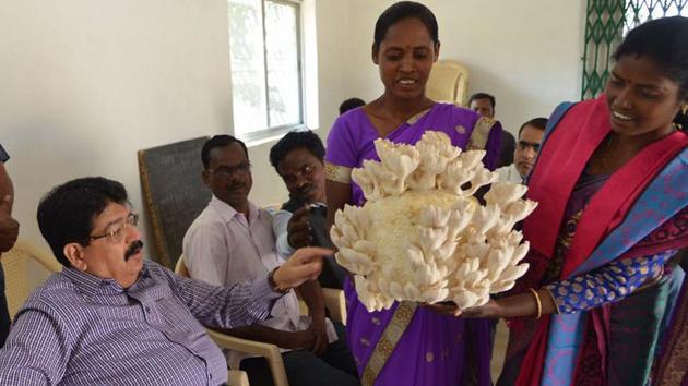 Villagers showing their cultivated mushroom to Rajya Sabha , MP, Parimal Nathwani at his adopted Jaratoli village under Namkum block in Ranchi (HT Photo) Villagers showing their cultivated mushroom to Rajya Sabha , MP, Parimal Nathwani at his adopted Jaratoli village under Namkum block in Ranchi (HT Photo)