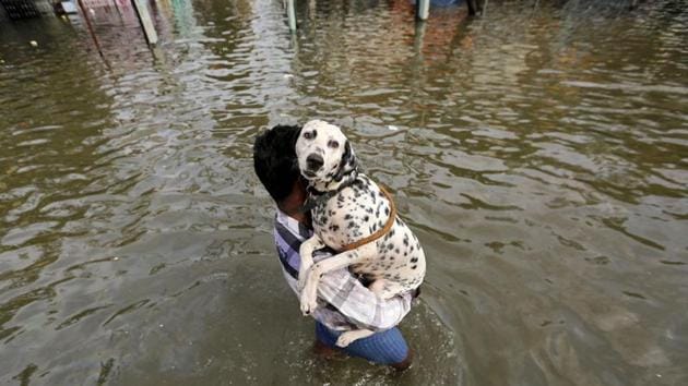 A man carries a dog as he wades through a flooded street in Chennai, December 3, 2015 (REUTERS) A man carries a dog as he wades through a flooded street in Chennai, December 3, 2015 (REUTERS)