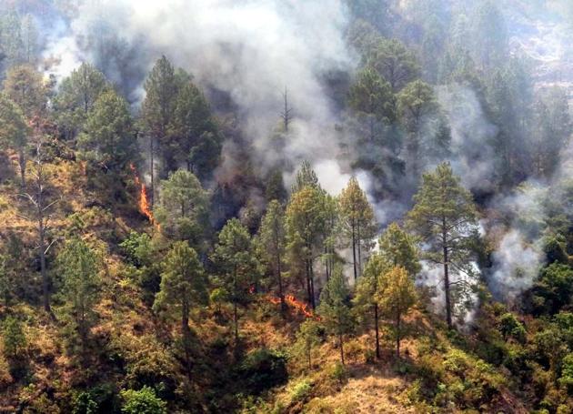 In 2016, wildfires gutted over 4,000 hectares of forest land in Uttarakhand. (HT Photo) In 2016, wildfires gutted over 4,000 hectares of forest land in Uttarakhand. (HT Photo)