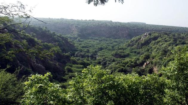 The body will evaluate the status of areas in the Aravallis covered under sections 4 and 5 of the Punjab Land Preservation Act (PLPA), 1900. (HT File Photo) The body will evaluate the status of areas in the Aravallis covered under sections 4 and 5 of the Punjab Land Preservation Act (PLPA), 1900. (HT File Photo)