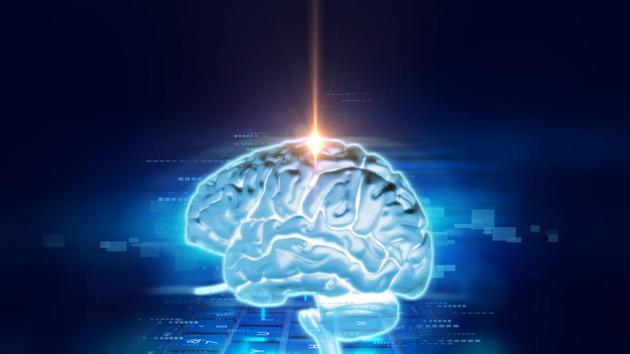 Previous studies have established that excess consumption of fructose contributes to high blood sugar and chronic diseases like obesity. But it was not known whether fructose was produced in the brain or crossed over from the bloodstream. (Shutterstock) Previous studies have established that excess consumption of fructose contributes to high blood sugar and chronic diseases like obesity. But it was not known whether fructose was produced in the brain or crossed over from the bloodstream. (Shutterstock)