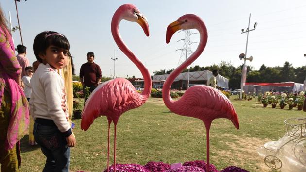 Visitors at the 31st annual flower show in Noida Stadium, Sector 21A, on Friday.(Virendra Singh Gosain/HT PHOTO) Visitors at the 31st annual flower show in Noida Stadium, Sector 21A, on Friday.(Virendra Singh Gosain/HT PHOTO)