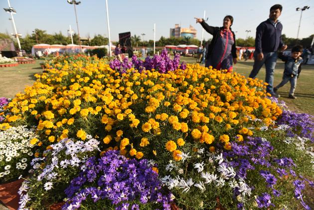 Visitors enjoy various floral arrangements on the first day of the flower show on Friday. (Virendra Singh Gosain/HT Photo) Visitors enjoy various floral arrangements on the first day of the flower show on Friday. (Virendra Singh Gosain/HT Photo)