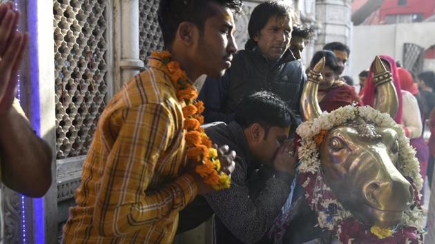 A man whispers prayers in the ear of a bronze idol of Nandi bull at the temple courtyard. (Saumya Khandelwal/HT PHOTO)