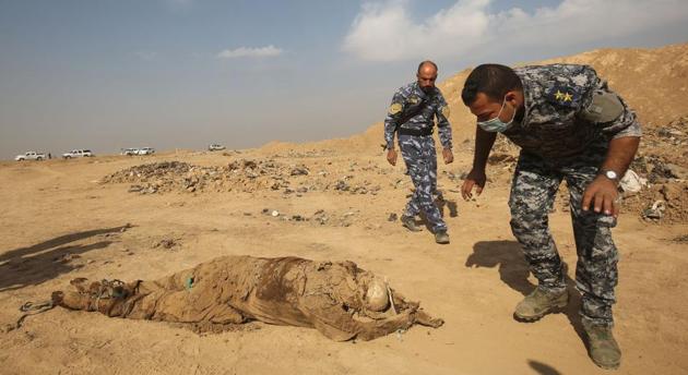 This file photo taken on November 7, 2016 shows members of the Iraqi forces checking a body they pulled from a mass grave they discovered in the Hamam al-Alil area after they recaptured the area from Islamic State (IS) group jihadists.(AFP Photo) This file photo taken on November 7, 2016 shows members of the Iraqi forces checking a body they pulled from a mass grave they discovered in the Hamam al-Alil area after they recaptured the area from Islamic State (IS) group jihadists.(AFP Photo)
