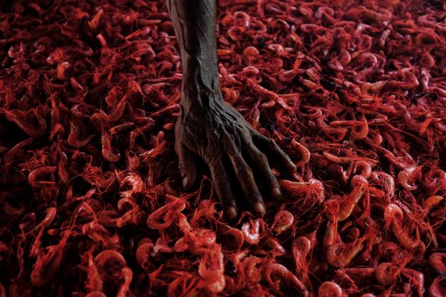Benedito, 66, smokes prawns as he checks it on a wood-fired oven in Corumbau village on the coast of Bahia state, Brazil. (Nacho Doce/REUTERS) Benedito, 66, smokes prawns as he checks it on a wood-fired oven in Corumbau village on the coast of Bahia state, Brazil. (Nacho Doce/REUTERS)