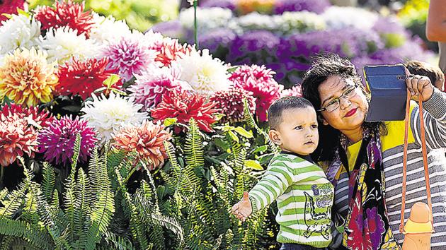 Taking selfies seemed to be the flavour of the day with people not letting go any opportunity to click themselves with the flowers on display. (Virendra Singh Gosain/HT Photo) Taking selfies seemed to be the flavour of the day with people not letting go any opportunity to click themselves with the flowers on display. (Virendra Singh Gosain/HT Photo)