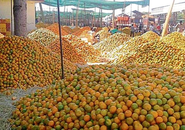 Oranges at  a mandi in  Bhawanimandi  in Rajasthan’s Jhalawar. (HT Photo.)