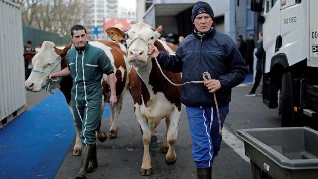 French farmers lead their cows for the International Agricultural Show in Paris, France. (Benoit Tessier / REUTERS)
