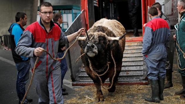 A French farmer leads his cow for the opening of the International Agricultural Show in Paris. (Benoit Tessier / REUTERS)