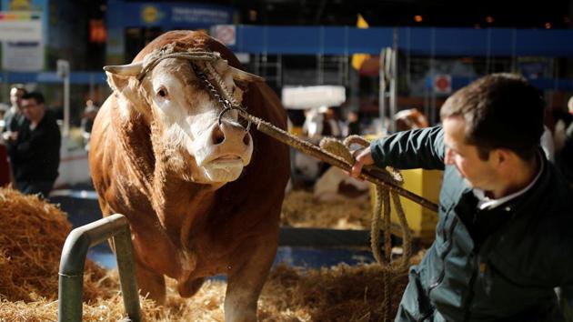 French agriculture has faced numerous challenges in recent years, including a bird flu outbreak, falling prices and persistent public fears over genetically modified (GM) crops. (Benoit Tessier / REUTERS)