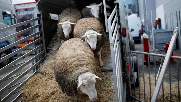 The event was first held in 1870 as the Concours général agricole (CGA, “General Agricultural Show”). (Benoit Tessier / REUTERS)