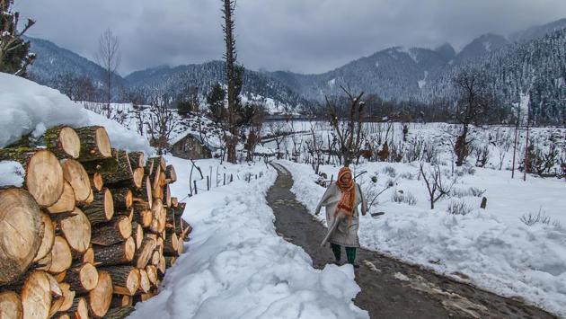 A woman walks past a pile of logs in Gauran village, Kokernag District of Kashmir. (Prasun Mitra) A woman walks past a pile of logs in Gauran village, Kokernag District of Kashmir. (Prasun Mitra)