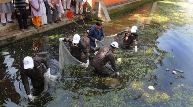 With the help of a net and handheld filter tools, the volunteers cleaned the 10-foot deep pond in two hours.(Parveen Kumar/HT Photos)