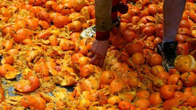 A member of rival team take oranges from the ground during an annual carnival orange battle in the northern Italian town of Ivrea . (Stefano Rellandini / REUTERS)