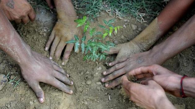 Gautam Budh Nagar residents will take a pledge to conserve the environment.(Sunil Ghosh/HT File Photo) Gautam Budh Nagar residents will take a pledge to conserve the environment.(Sunil Ghosh/HT File Photo)