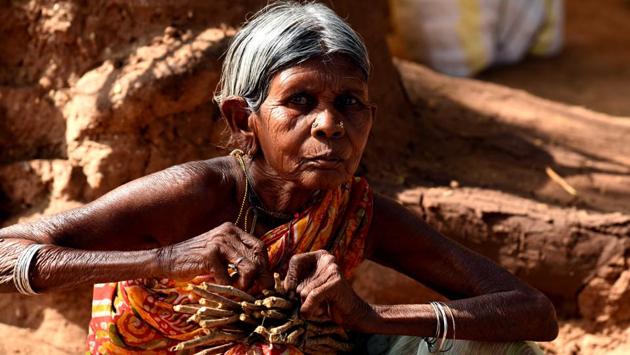 An old tribal women sells tooth sticks in the Lanjigarh weekly haat (market) where the locals do most of their shopping. (Arabinda Mohapatra) An old tribal women sells tooth sticks in the Lanjigarh weekly haat (market) where the locals do most of their shopping. (Arabinda Mohapatra)