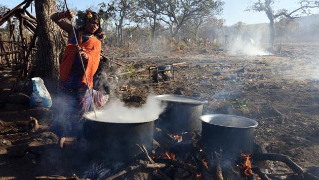 A Dongria women prepares food in open during the two-day long Niyamraja Festival. (Arabinda Mohapatra) A Dongria women prepares food in open during the two-day long Niyamraja Festival. (Arabinda Mohapatra)