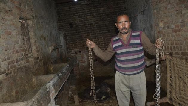 The dairy farm owner said the men also robbed him of Rs20,000 apart from the three buffaloes. (Sakib Ali) The dairy farm owner said the men also robbed him of Rs20,000 apart from the three buffaloes. (Sakib Ali)
