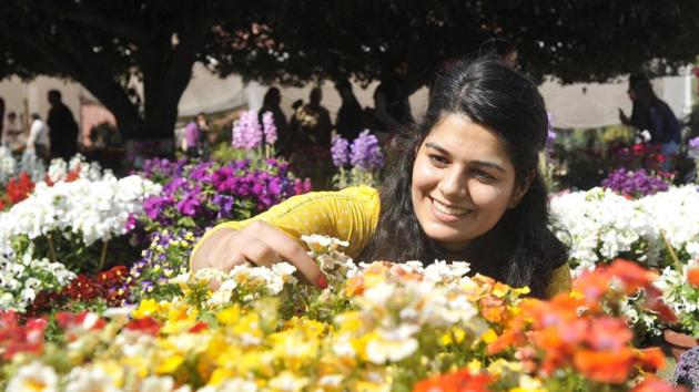 A girl admiring the flowers during the flower show at PAU in Ludhiana on Thursday. (Gurminder Singh/HT Photo)