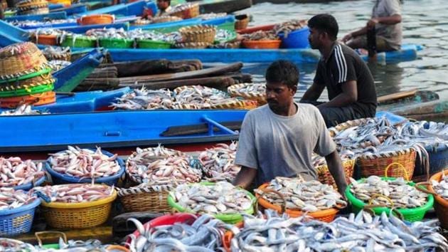 Indian fishermen unload baskets of fish from boats at a harbour in Chennai on June 5, 2016, as fishermen return with their catch after a 45-day fishing ban. Authorities in Tamil Nadu imposes an annual ban on fishing by mechanised vessels to protect marine life, with only 'country boats' operating within five nautical miles off the coast.(AFP File Photo)