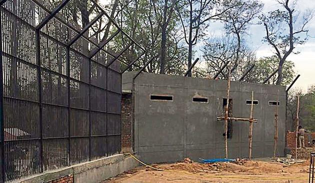 The leopard enclosure at Bir Talab zoo in Bathinda. (HT Photo) The leopard enclosure at Bir Talab zoo in Bathinda. (HT Photo)