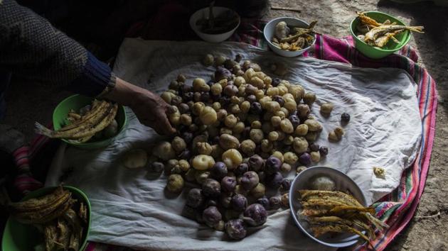 The Avila family sets their lunch of potatoes and fish on the floor of their home in Coata. The steady deterioration of the prized tourist destination has caused a rash of health problems among the 1.3 million people in Peru and Bolivia living near Lake Titicaca’s polluted banks. (Rodrigo Abd/AP) The Avila family sets their lunch of potatoes and fish on the floor of their home in Coata. The steady deterioration of the prized tourist destination has caused a rash of health problems among the 1.3 million people in Peru and Bolivia living near Lake Titicaca’s polluted banks. (Rodrigo Abd/AP)