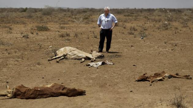 U.N. humanitarian chief Stephen O'Brien inspects the carcasses of dead cows in the drought-affected village of Bandarero, near Moyale town on the Ethiopian border, in northern Kenya . O'Brien said he is confident the United States will step up and donate to aid appeals amid concerns of possible foreign aid cuts under President Donald Trump.  (AP) 
