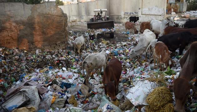 Karachi, a megacity of towering high-rises, now battles garbage problem ...