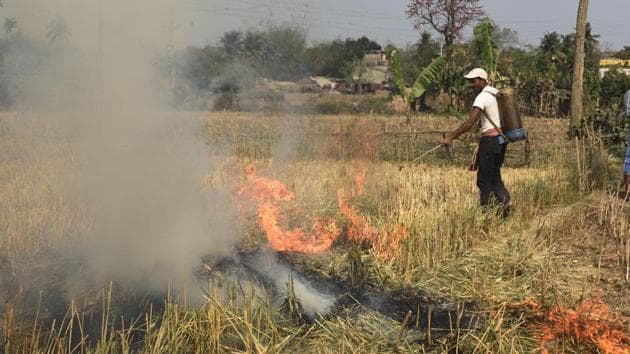 State government officers set fire to wheat in Sonpukur village on Chapra block in Nadia district of West Bengal.(Subhankar Chakraborty/HT PHOTO)