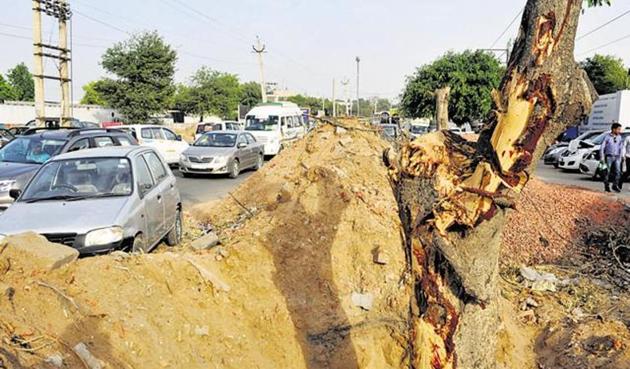 The high court took note that the Delhi Metro and Asola sanctuary authorities had axed a large number of trees in the national capital for various projects. (Parveen Kumar/HT File Photo) The high court took note that the Delhi Metro and Asola sanctuary authorities had axed a large number of trees in the national capital for various projects. (Parveen Kumar/HT File Photo)