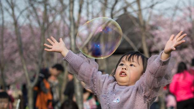 A young girl chases a rainbow bubble next to a cherry blossom tree in the Gucun Park in Shanghai. (Johannes EISELE / AFP) A young girl chases a rainbow bubble next to a cherry blossom tree in the Gucun Park in Shanghai. (Johannes EISELE / AFP)